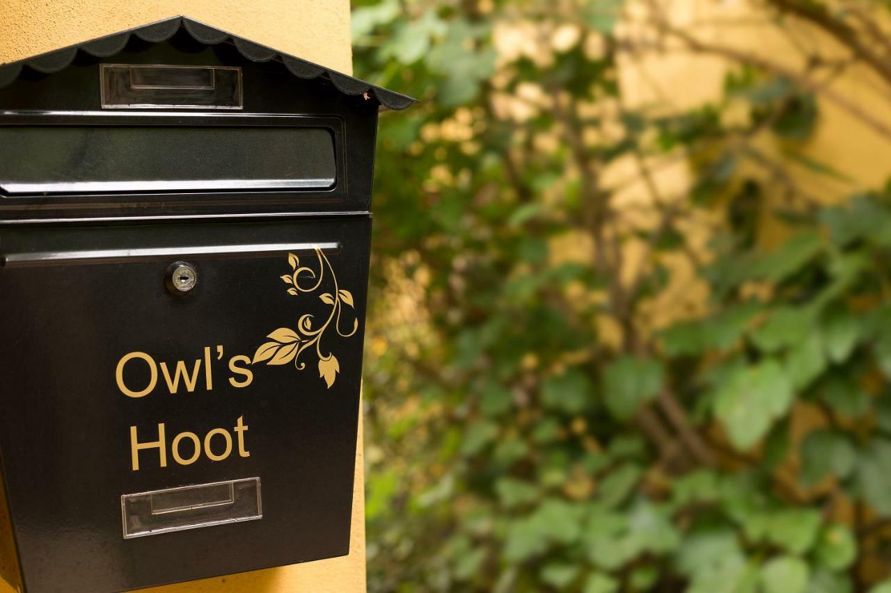 Vila Owl'S Hoot Thorndon Exteriér fotografie